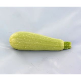 Compra CALABACÍN ANGELINA F1 (1.000 Semillas) en la tienda online Fito Agrícola