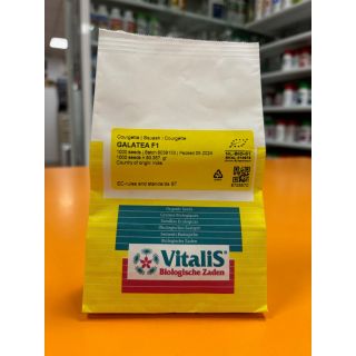 Compra CALABACÍN GALATEA F1 ECOLÓGICO (1.000 Semillas) en la tienda online Fito Agrícola