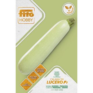 Compra CALABACÍN LUCERO F1 (40 Semillas). en la tienda online Fito Agrícola
