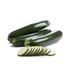 Compra CALABACÍN ORBITER RZ F1 (1.000 Semillas) en la tienda online Fito Agrícola