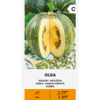 Compra CALABAZA OLGA (2 gr. - Cerca de 10 Semillas). en la tienda online Fito Agrícola