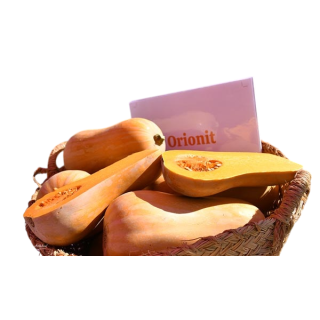 Compra CALABAZA ORIONIT F1 (1000 Semillas). en la tienda online Fito Agrícola