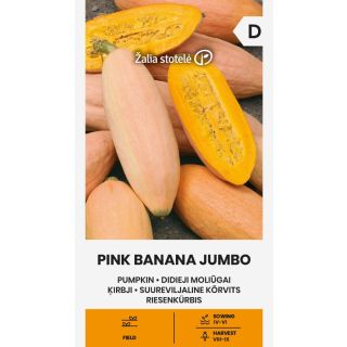 Compra CALABAZA PINK BANANA JUMBO (2 gr. - Cerca de 10 Semillas). en la tienda online Fito Agrícola