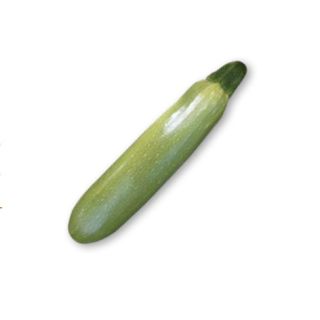 Compra CALABACÍN POSEIDÓN F1 (1.000 Semillas) en la tienda online Fito Agrícola