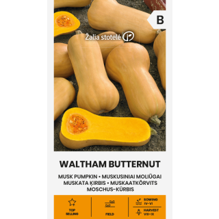 Compra CALABAZA WALTHAM BUTTERNUT (2 gr. - Cerca de 10 Semillas). en la tienda online Fito Agrícola