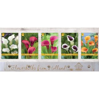 Compra CALA Cofre (100 Unid.) en la tienda online Fito Agrícola