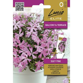 Compra CAMPION ROSA SEDOSO (20 Semillas) en la tienda online Fito Agrícola