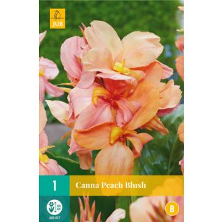 Compra CANNA PEACH BLUSH en la tienda online Fito Agrícola