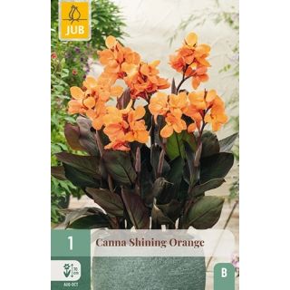 Compra CANNA SHINING ORANGE en la tienda online Fito Agrícola