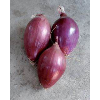 Compra CEBOLLA ROSSA DI TROPEA LUNGA (500 gr.) en la tienda online Fito Agrícola