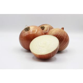 Compra CEBOLLA SIRIO Pildorada (25.000 Semillas) en la tienda online Fito Agrícola