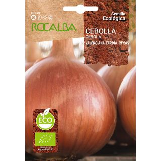 Compra CEBOLLA VALENCIANA TARDÍA RECAS ECOLÓGICA (100 gr.) en la tienda online Fito Agrícola