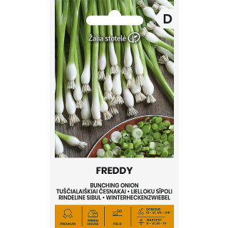 Compra CEBOLLINO FREDDY (1gr. - Cerca de 275 Semillas). en la tienda online Fito Agrícola