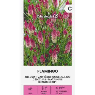 Compra CELOSIA FLAMINGO (0,3 gr. - Cerca de 400 Semillas). en la tienda online Fito Agrícola