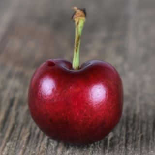 Compra CEREZO AMBRUNÉS (Picota) en la tienda online Fito Agrícola