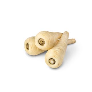 Compra CHIRIVÍA ALBION F1 Pildorada y Pregerminada (10.000 Semillas) en la tienda online Fito Agrícola