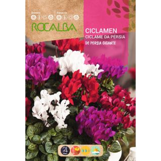 Compra CICLAMEN DE PERSIA GIGANTE VARIADO (0,1 gr.). en la tienda online Fito Agrícola