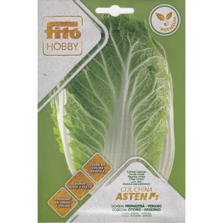 Compra COL CHINA ASTEN F1 (90 Semillas). en la tienda online Fito Agrícola