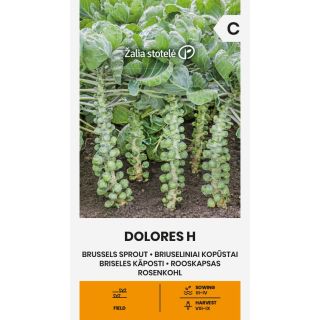 Compra COL DE BRUSELAS DOLORES F1 (1 gr. - Cerca de 25 Semillas). en la tienda online Fito Agrícola
