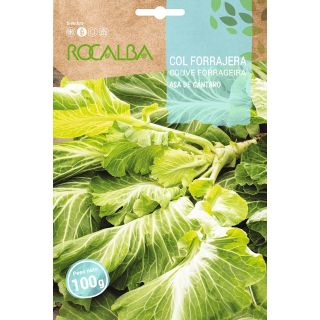 Compra COL ASA DE CÁNTARO (100 gr.) en la tienda online Fito Agrícola