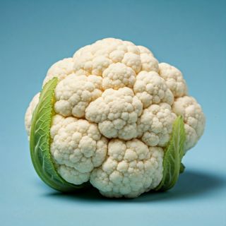 Compra COLIFLOR BROMHA F1 (2.500 Semillas) en la tienda online Fito Agrícola