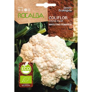 Compra COLIFLOR NAPOLETANO GENNARESE BIO (1 gr.). en la tienda online Fito Agrícola