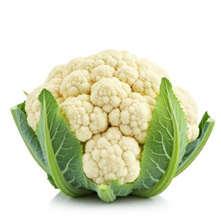 Compra COLIFLOR MEDUSA F1 Peliculada (2.500 Semillas) en la tienda online Fito Agrícola