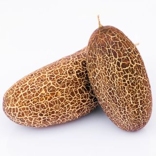 Compra PEPINO DE NEPAL AB (15 Semillas). en la tienda online Fito Agrícola