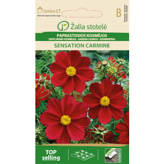 Compra COSMOS SENSATION CARMÍN (1 gr. - Cerca de 135 Semillas). en la tienda online Fito Agrícola