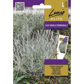 Compra CURRY (0,1 gr. - Cerca de 400 Semillas). en la tienda online Fito Agrícola