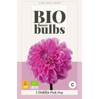 Compra DALIA PINK POP BIO en la tienda online Fito Agrícola