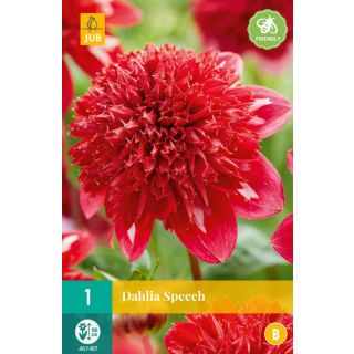 Compra DALIA SPEECH en la tienda online Fito Agrícola