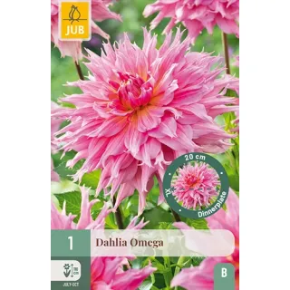 Compra DALIA OMEGA en la tienda online Fito Agrícola