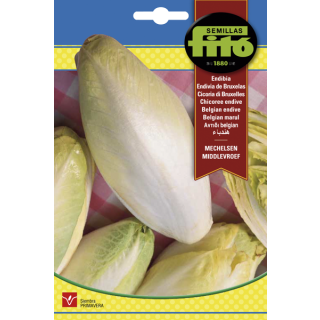 Compra ENDIBIA MECHELSEN MIDDLEVROEF (8 gr.). en la tienda online Fito Agrícola