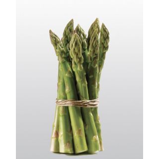 Compra ESPÁRRAGO ATLAS F1 (25.000 Semillas). en la tienda online Fito Agrícola