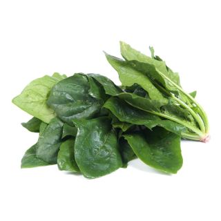 Compra ESPINACA ARTEMIS F1 (50.000 Semillas). en la tienda online Fito Agrícola
