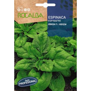 Compra ESPINACA HUDSON F-1 BABY LEAF (100 gr.). en la tienda online Fito Agrícola