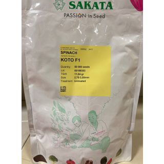 Compra ESPINACA KOTO F1 (50.000 Semillas) en la tienda online Fito Agrícola
