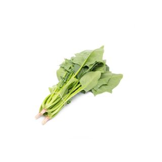 Compra ESPINACA SHRIKE RZ F1 (25.000 Semillas). en la tienda online Fito Agrícola