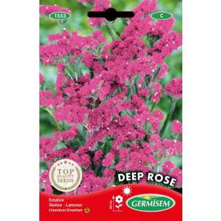Compra ESTATICE DEEP ROSE (0,5 gr.). en la tienda online Fito Agrícola
