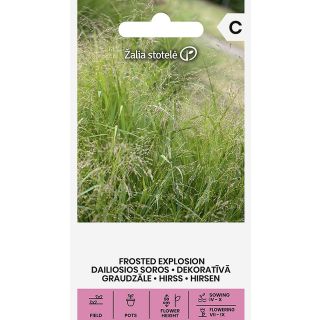 Compra EXPLOSIÓN ESCARCHADA (1 gr. - Cerca de 300 Semillas). en la tienda online Fito Agrícola