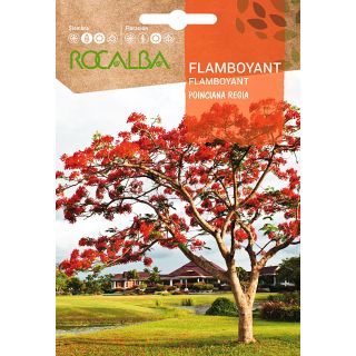 Compra FLAMBOYANT (1 gr.). en la tienda online Fito Agrícola