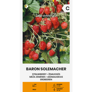 Compra FRESA BARON SOLEMACHER (0,1 gr. - Cerca de 200 Semillas). en la tienda online Fito Agrícola