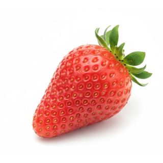 Compra FRESA MARA DES BOIS M11 en la tienda online Fito Agrícola