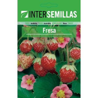 Compra FRESA REGINA (10 gr.). en la tienda online Fito Agrícola
