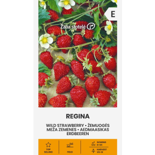 Compra FRESA SILVESTRE REGINA (0,1 gr. - Cerca de 200 Semillas). en la tienda online Fito Agrícola