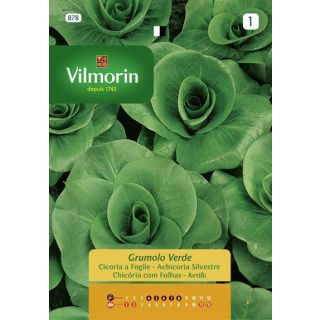 Compra ACHICORIA GRUMOLO VERDE (5 gr.). en la tienda online Fito Agrícola