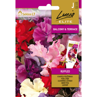 Compra GUISANTE DE OLOR RIZADOS (2 gr. - Cerca de 24 Semillas). en la tienda online Fito Agrícola