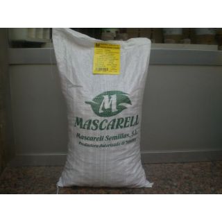 Compra HABA VALENCIANA Sel. Aitana (25 Kgr.) en la tienda online Fito Agrícola