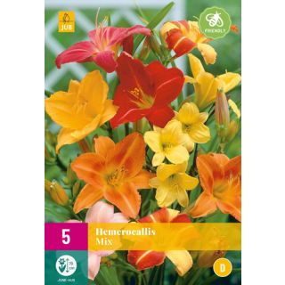 Compra HEMEROCALLIS MIX XXL en la tienda online Fito Agrícola